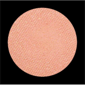 Eyeshadow Bon Apetit 481