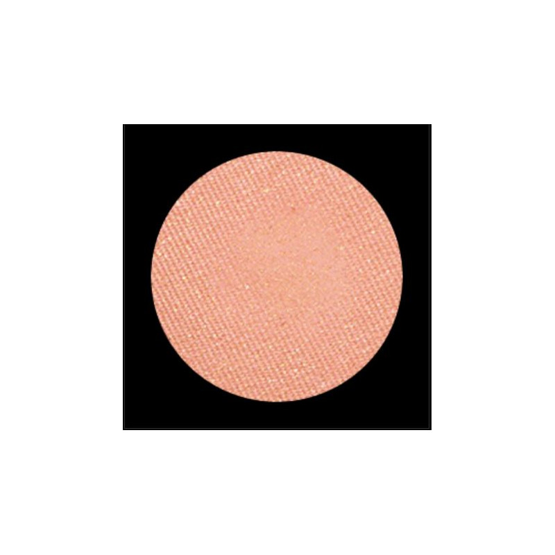 Eyeshadow Bon Apetit 481